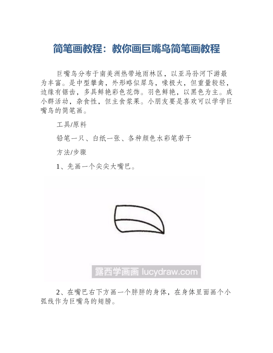 简笔画教程：教你画巨嘴鸟简笔画教程_第1页