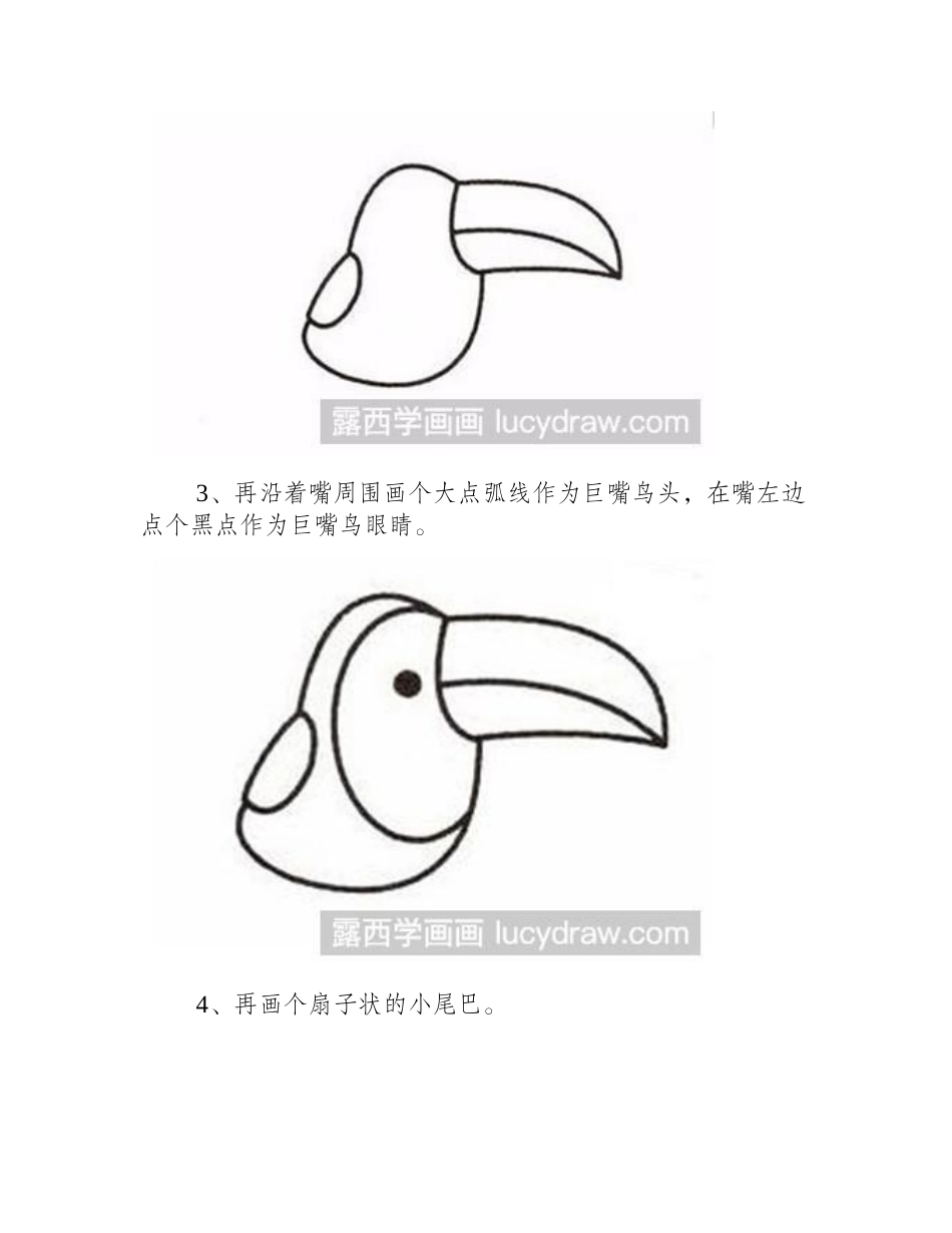 简笔画教程：教你画巨嘴鸟简笔画教程_第2页