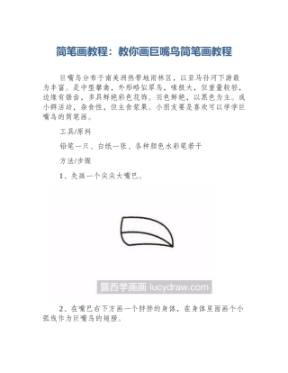 简笔画教程：教你画巨嘴鸟简笔画教程