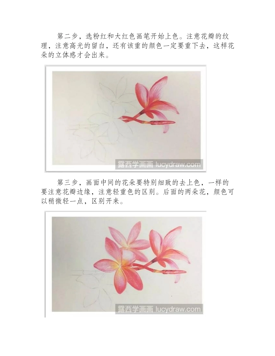 红色鸡蛋花怎么画_彩铅画蛋黄花绘画步骤有几步_彩铅画教程_第2页
