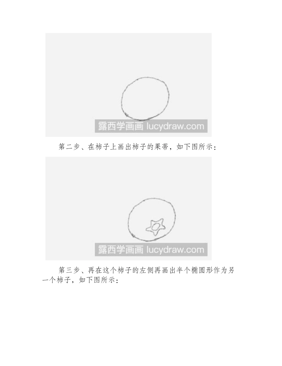 简笔画教程：教你画柿子简笔画教程_第2页