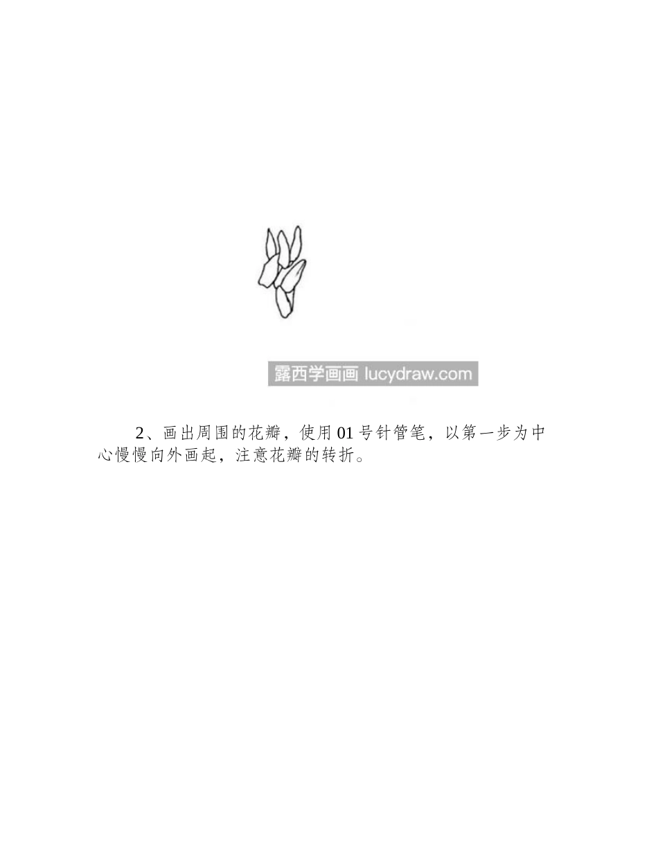 简单的菊花线描怎么画_教你画一幅菊花简笔画简笔画教程_第2页