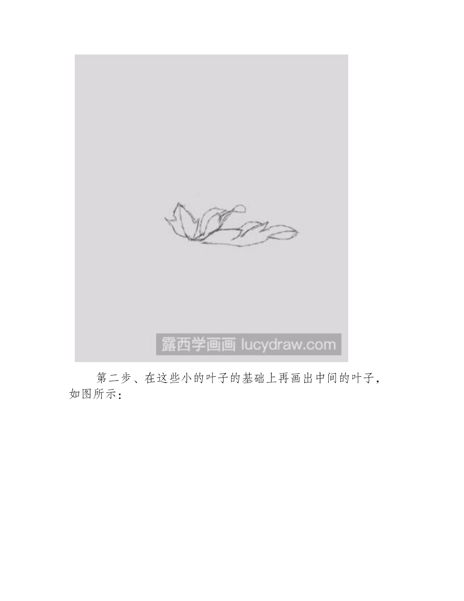 教你画牡丹简笔画简笔画教程_第2页