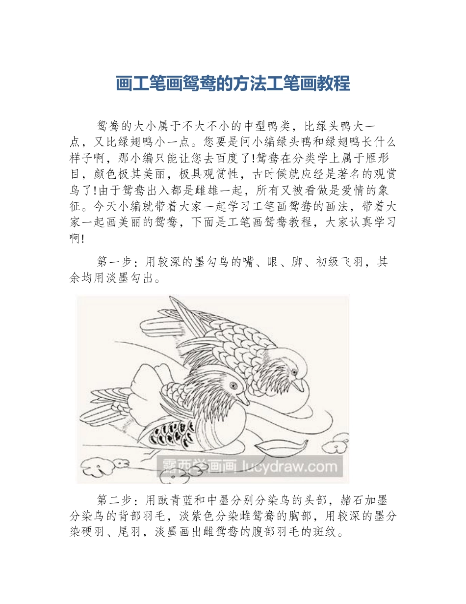 画工笔画鸳鸯的方法工笔画教程_第1页