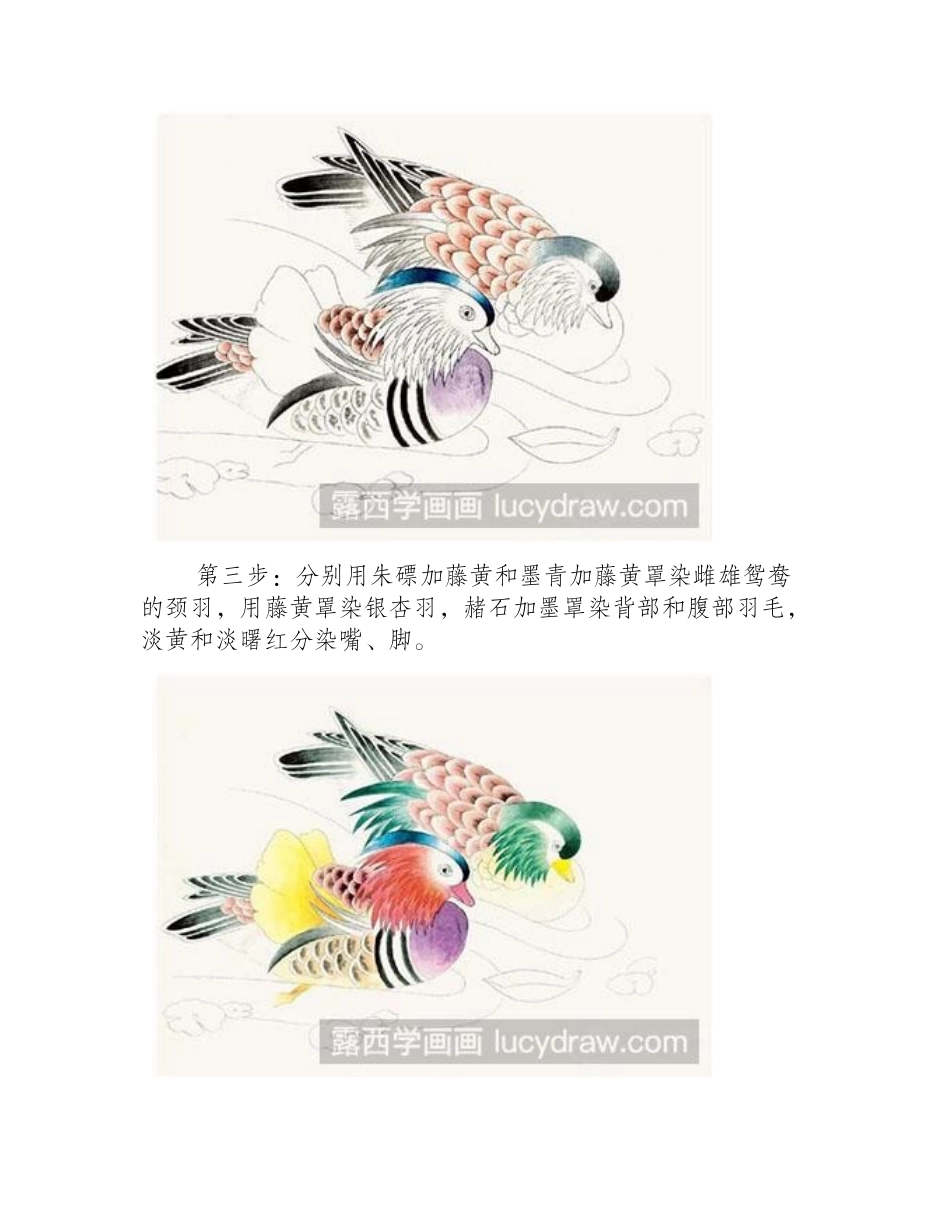 画工笔画鸳鸯的方法工笔画教程_第2页