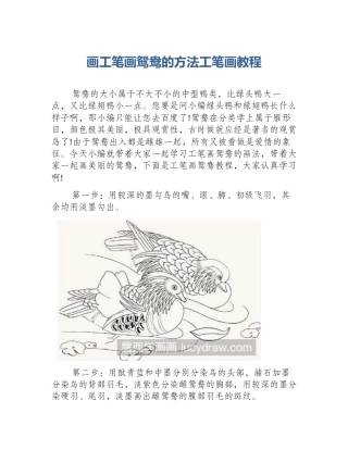 画工笔画鸳鸯的方法工笔画教程
