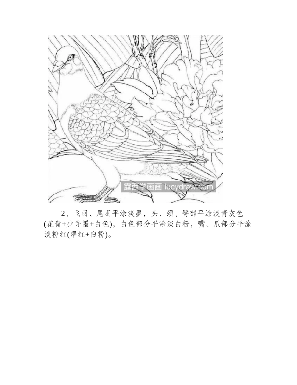 灰色鸽子怎么画_灰鸽有哪些绘画步骤_工笔画教程_第2页