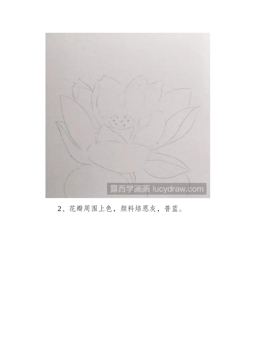 教你画一朵盛开的荷花水彩画教程_第2页