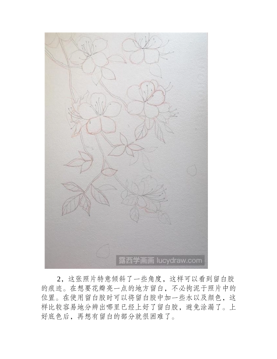 教你用水彩画一簇繁花水彩画教程1_第2页