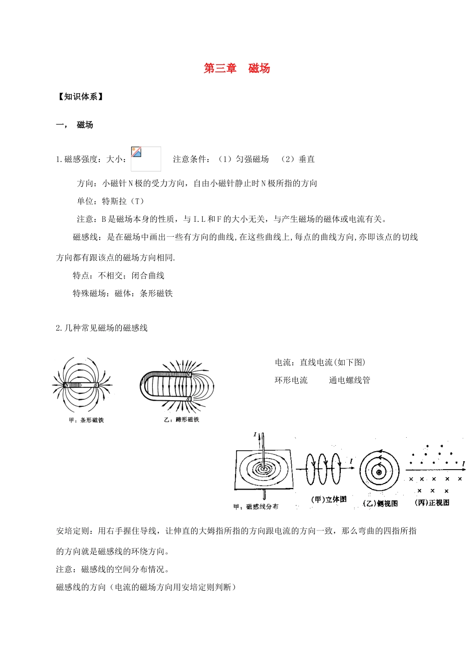 高考物理 第一讲安培力洛伦兹力教案 新人教版_第1页