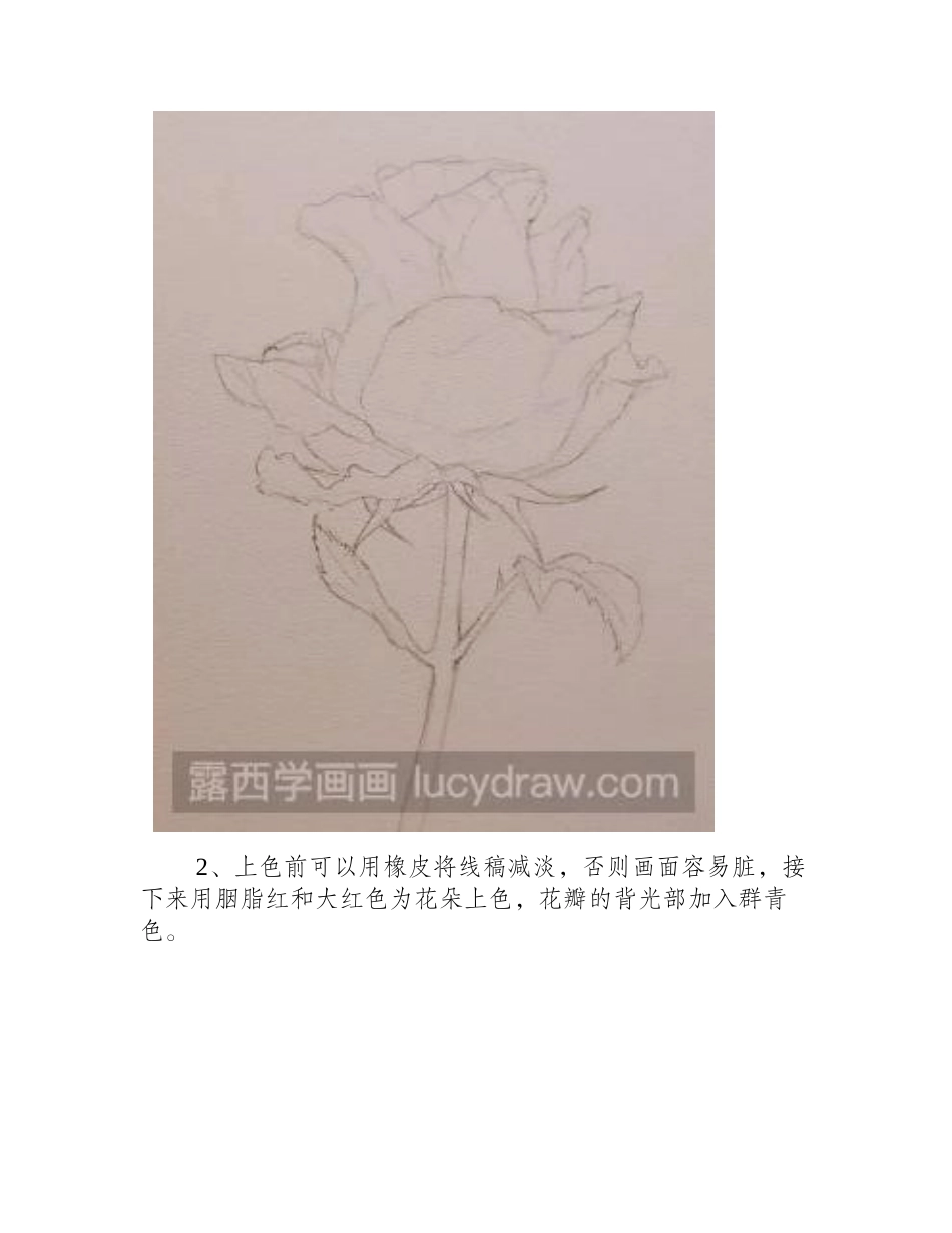 教你水彩画一朵娇艳的玫瑰花水彩画教程_第2页
