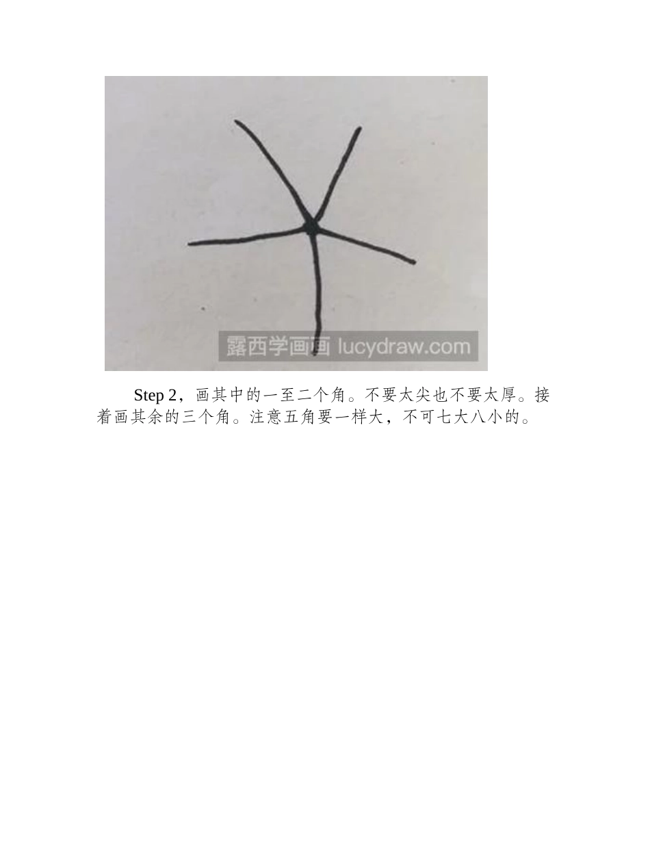 海星的简笔画怎么画简笔画教程_第2页