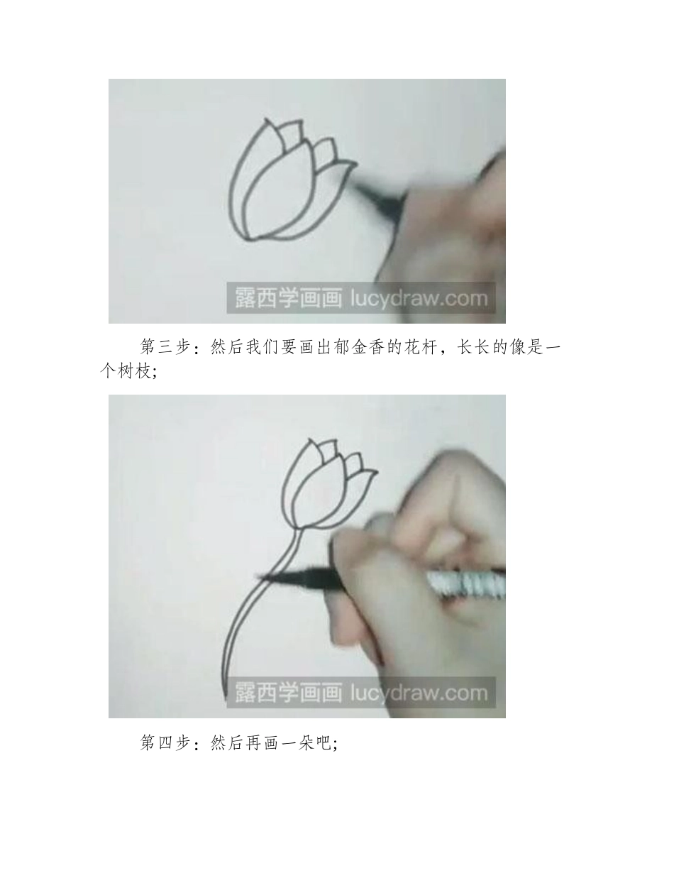 简笔画教程：怎么绘制郁金香简笔画教程_第2页