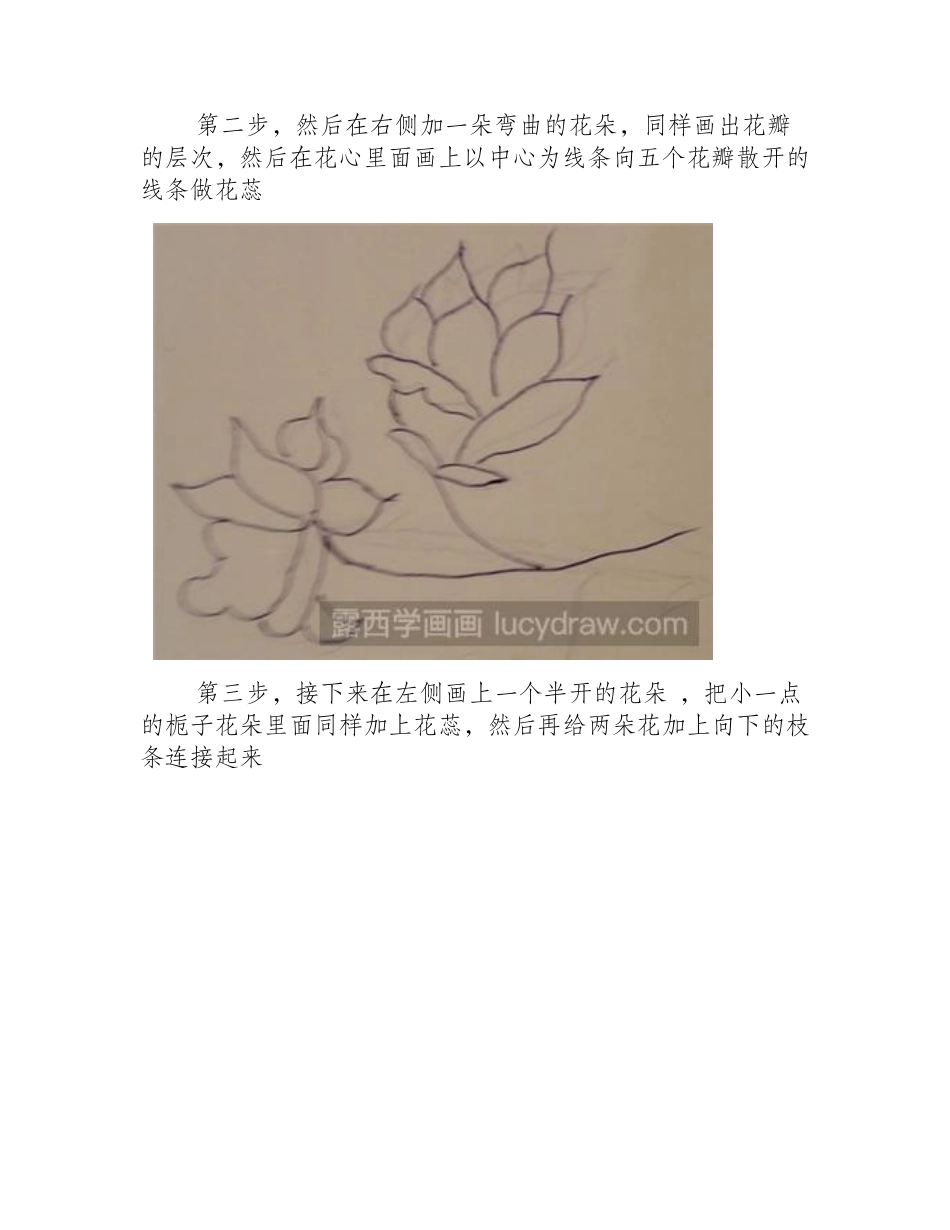 绘画教程之怎么画栀子花简笔画教程1_第2页