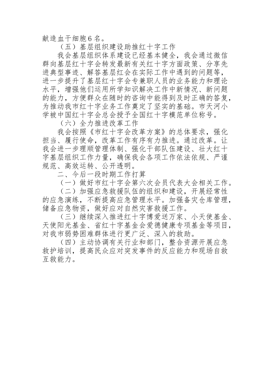 红十字会年终工作总结_第2页