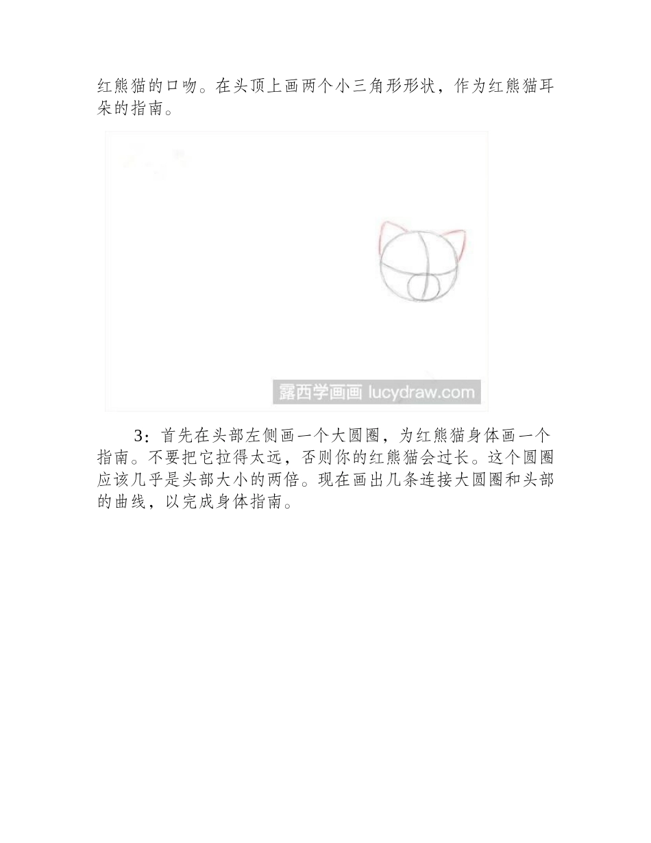 红熊猫简笔画教程简笔画教程_第2页