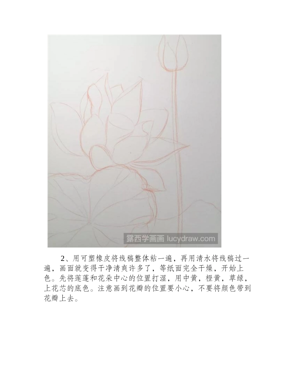 荷花的水彩画要怎么画_超详细水彩荷花步骤水彩画教程_第2页