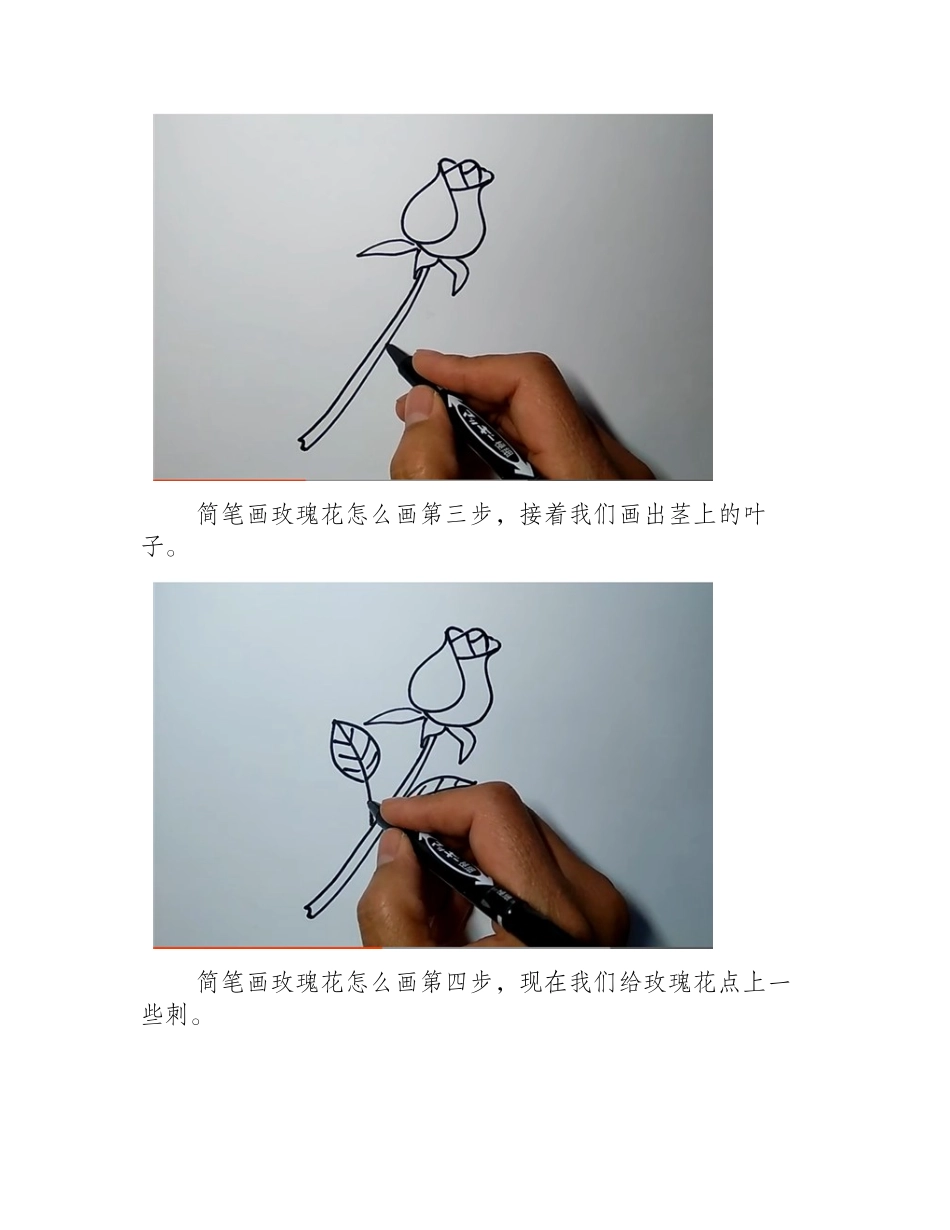 简笔画玫瑰花怎么画_简笔画教程4_第2页