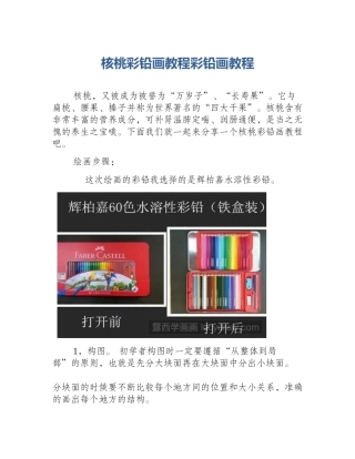 核桃彩铅画教程彩铅画教程