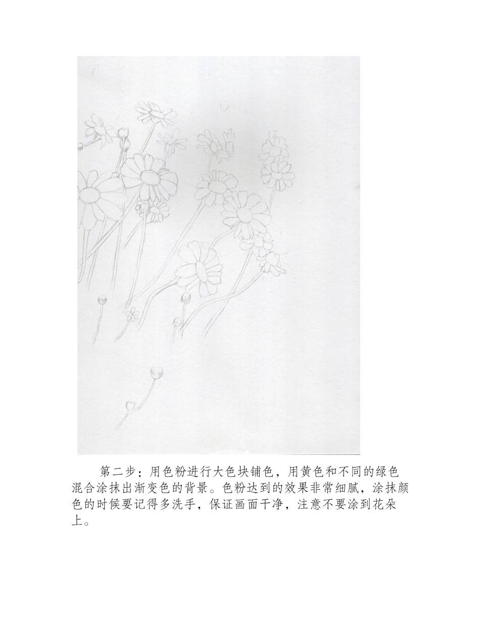 简单的色粉画花卉教程色粉画教程_第2页
