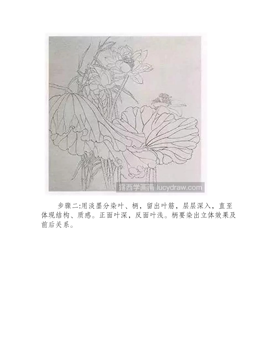 荷花的工笔画法工笔画教程_第2页