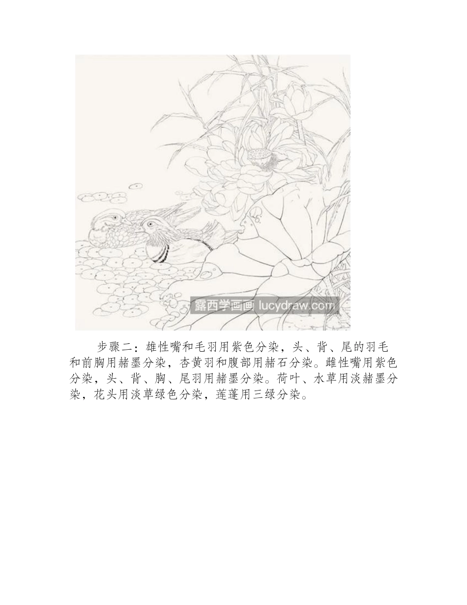 荷下鸳鸯怎么画_有哪些工笔画步骤_工笔画教程_第2页