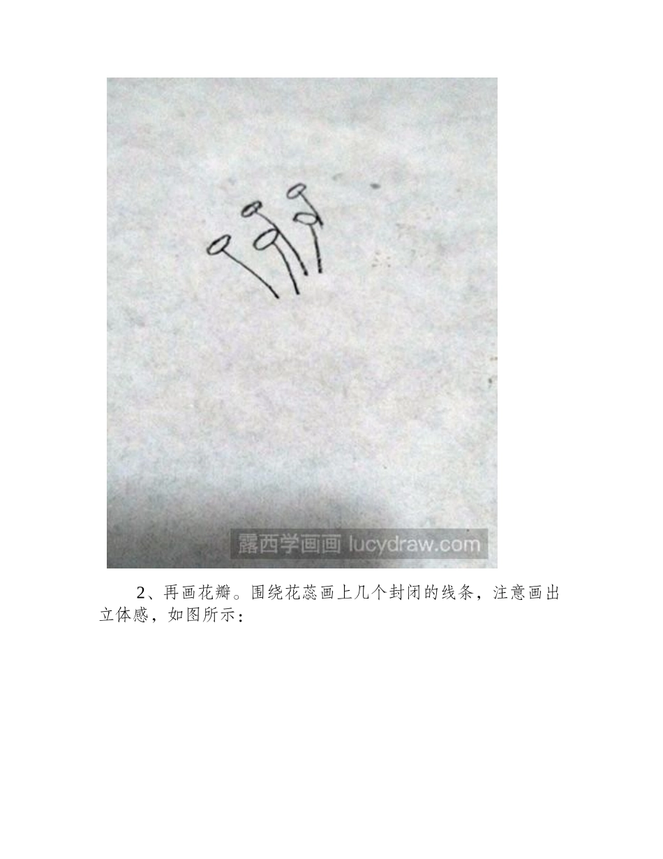 简笔画教程：教你画百合花简笔画教程_第2页