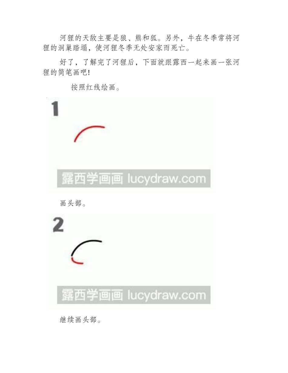 简笔画教程：教你画河狸简笔画教程_第2页