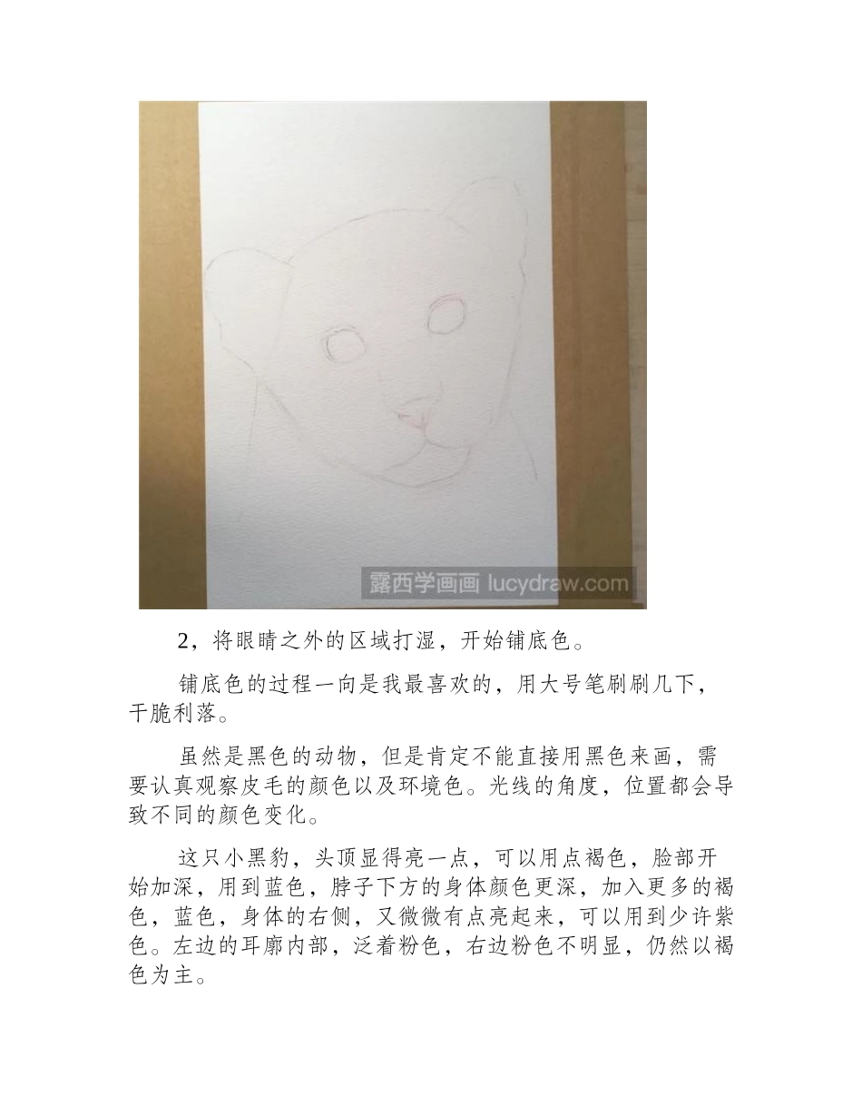 黑豹怎么画水彩画教程_第2页