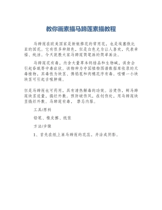 教你画素描马蹄莲素描教程