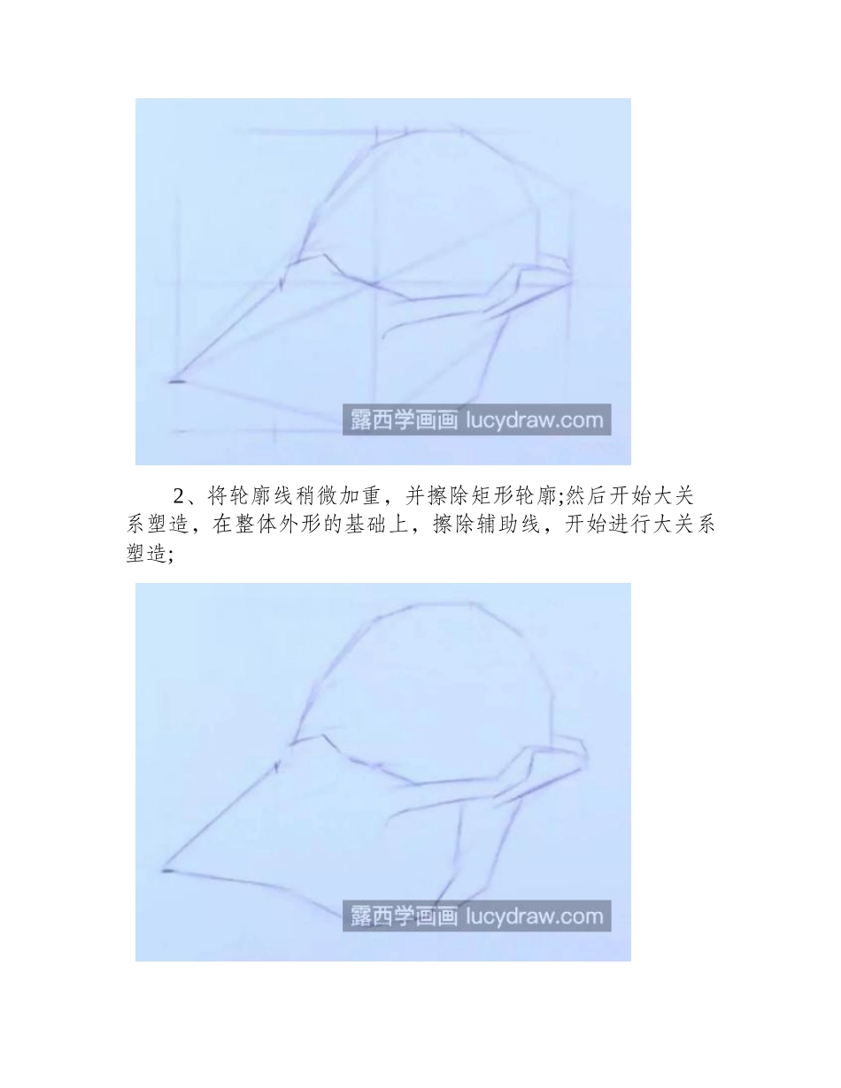 海螺怎么画_详细的素描步骤有哪些_素描教程_第2页