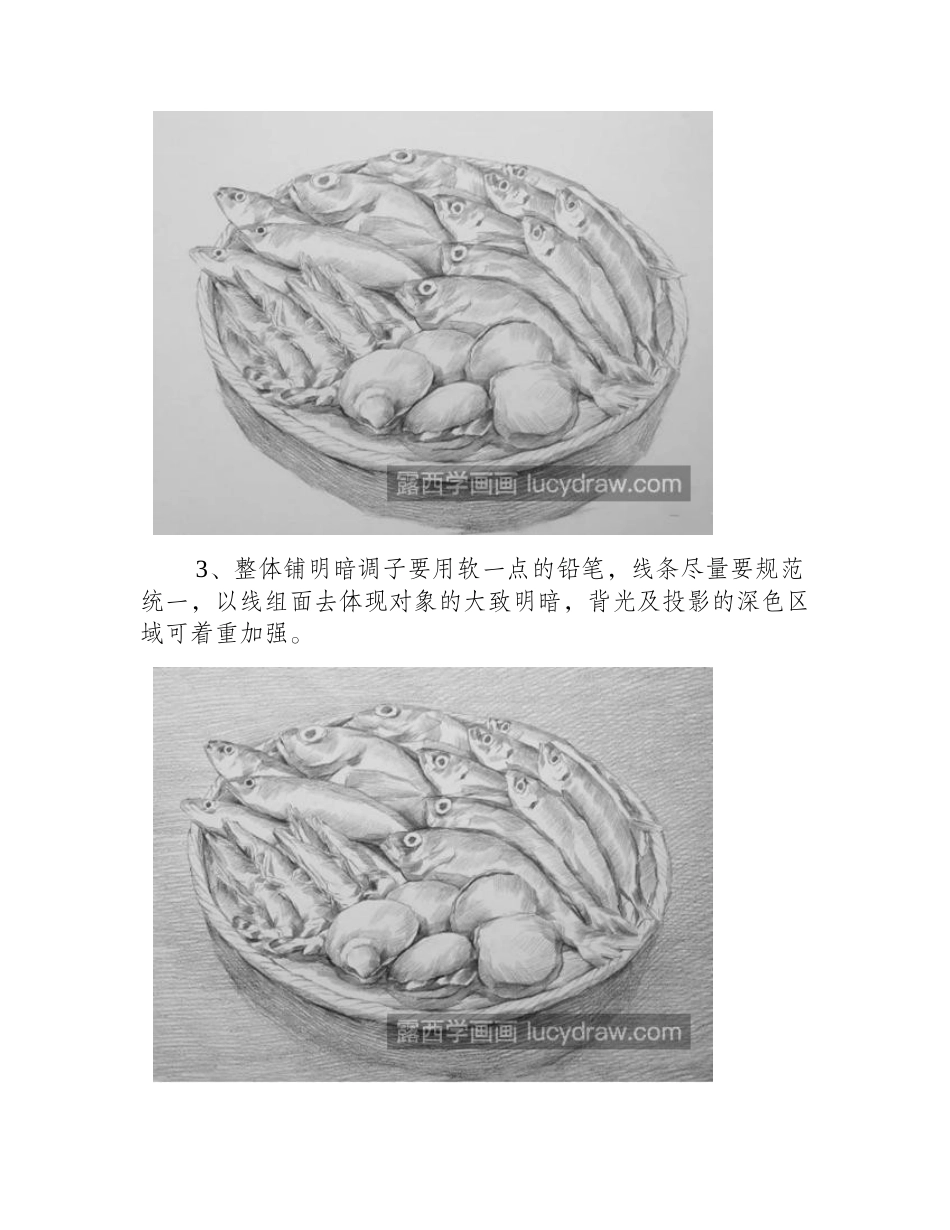 海鲜怎么画_虾兵蟹将的素描步骤有几步_素描教程_第2页