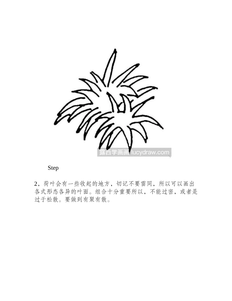 荷叶速写画法速写教程_第2页