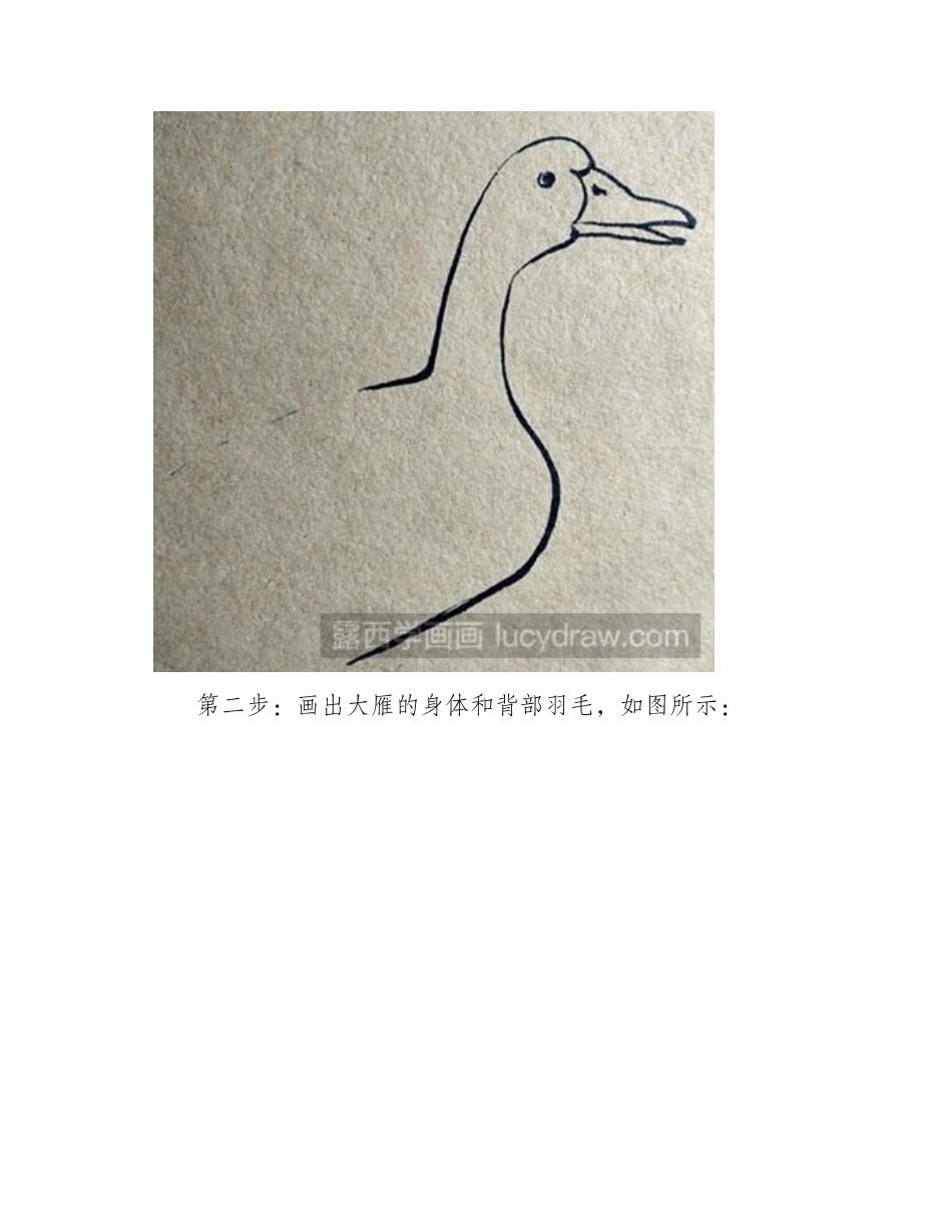 简笔画教程：怎么画一只安静的大雁简笔画教程_第2页