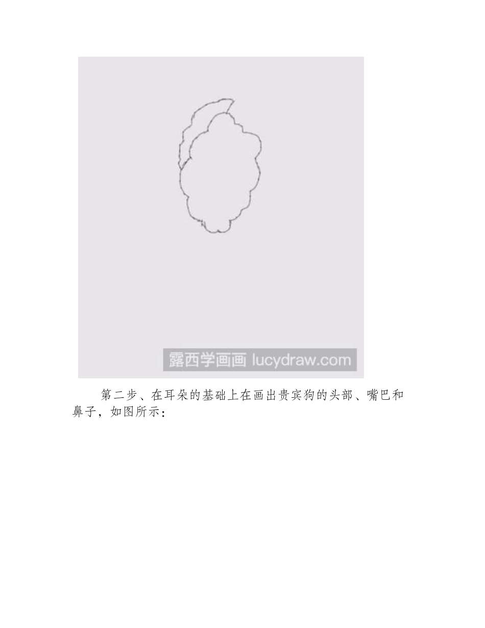 简笔画教程：教你画贵宾狗简笔画教程_第2页