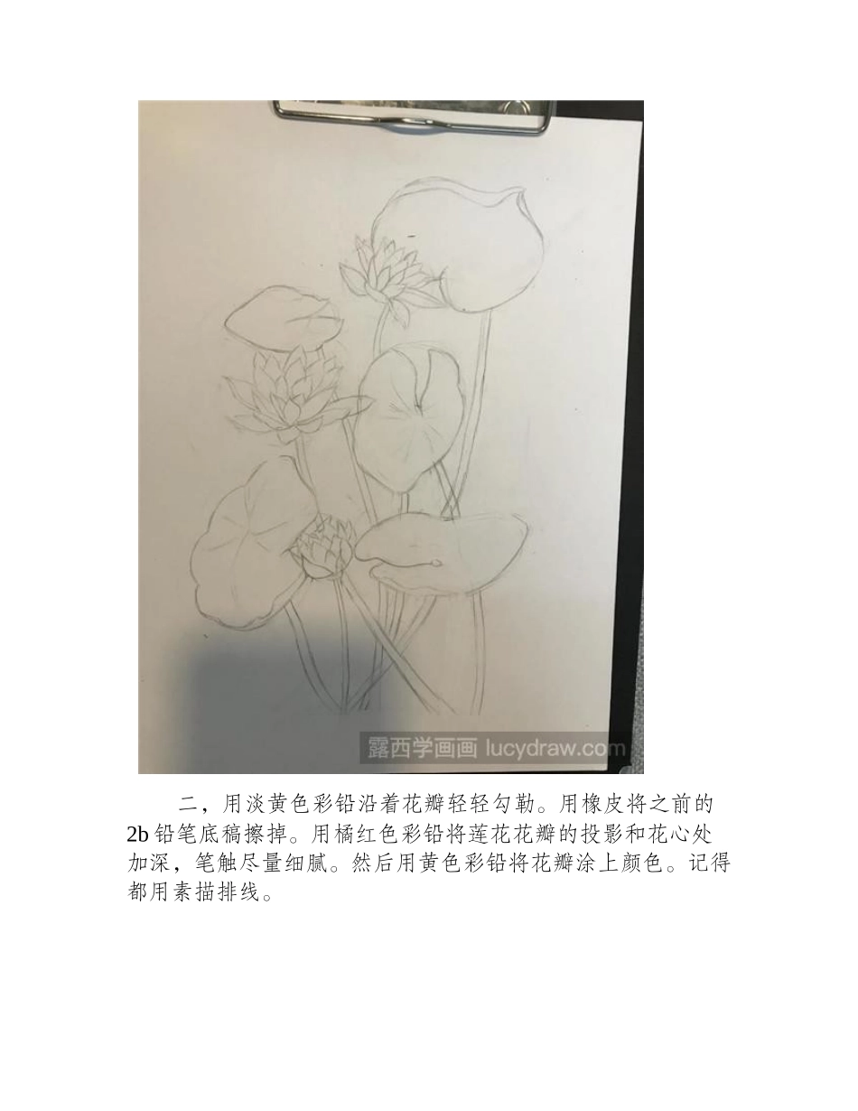 黄莲花彩铅画教程彩铅画教程_第2页