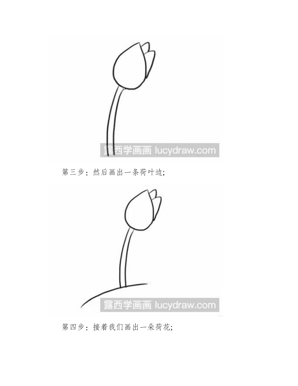 简笔画教程-怎么画荷花简笔画教程_第2页