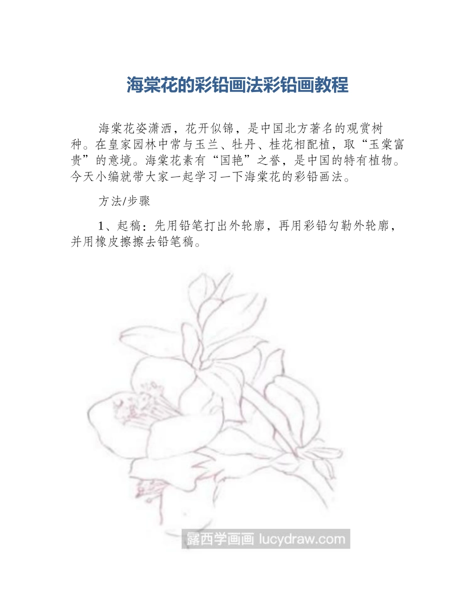 海棠花的彩铅画法彩铅画教程_第1页