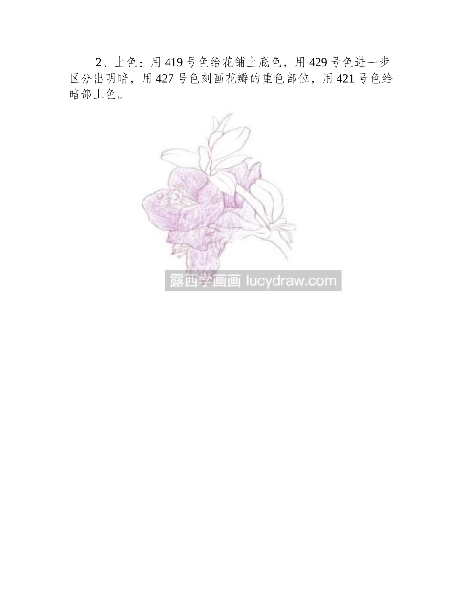 海棠花的彩铅画法彩铅画教程_第2页