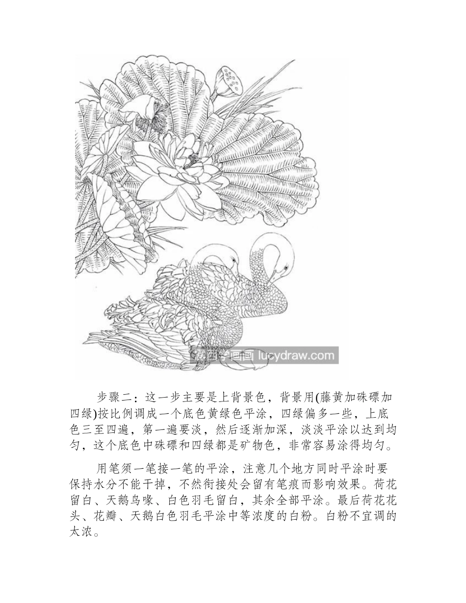 黑天鹅怎么画_有哪些工笔画步骤_工笔画教程_第2页
