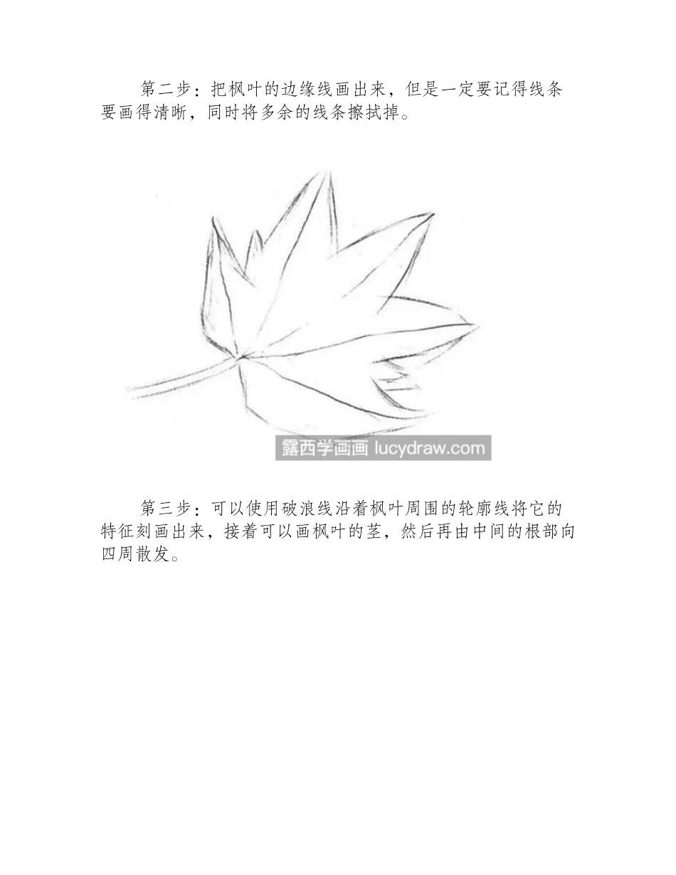 简单的枫叶怎么画_枫叶的素描步骤有哪些_素描教程3_第2页
