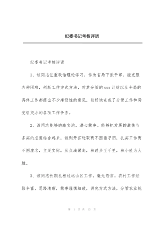 纪委书记考核评语