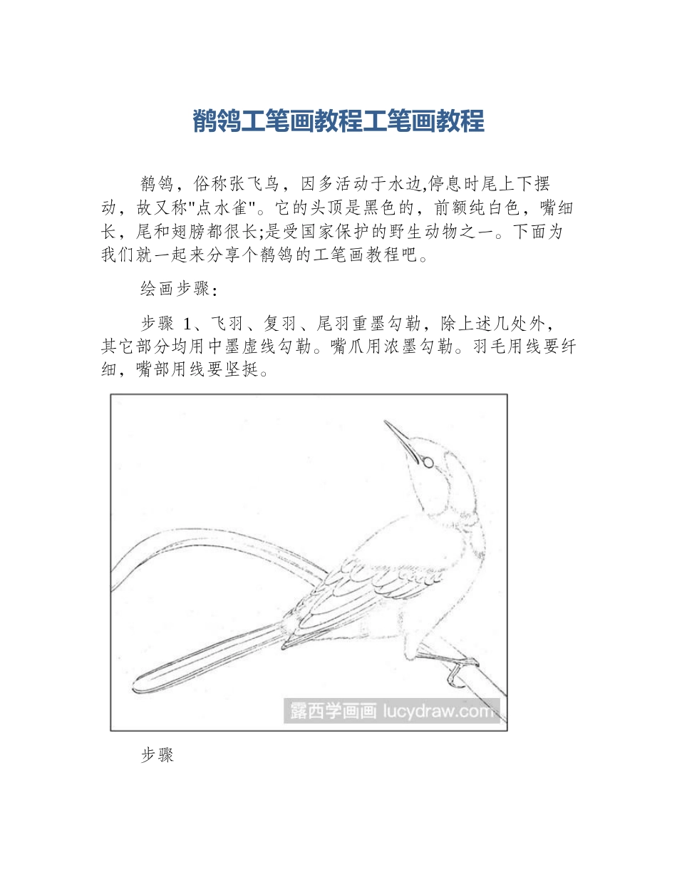 鹡鸰工笔画教程工笔画教程_第1页