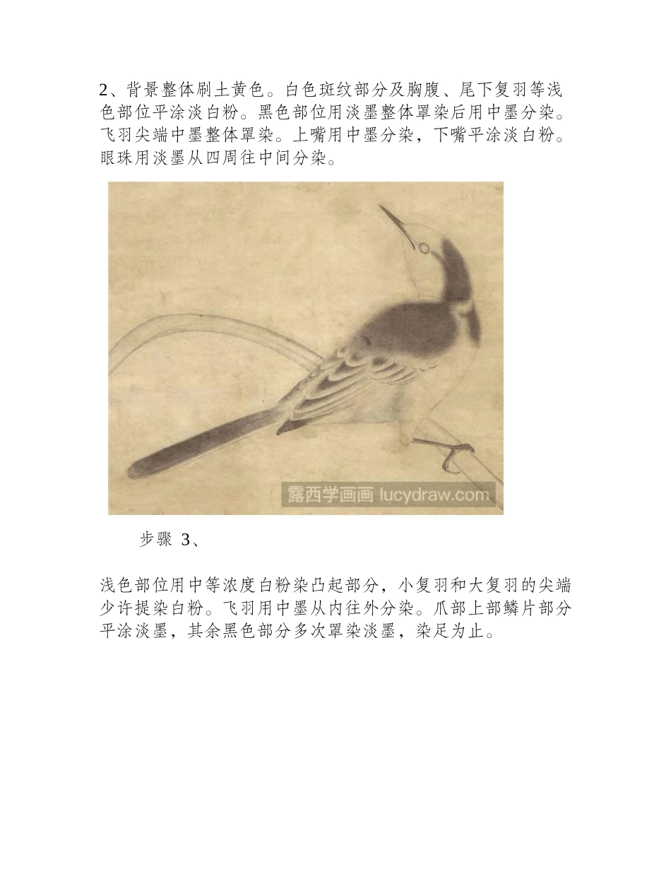 鹡鸰工笔画教程工笔画教程_第2页