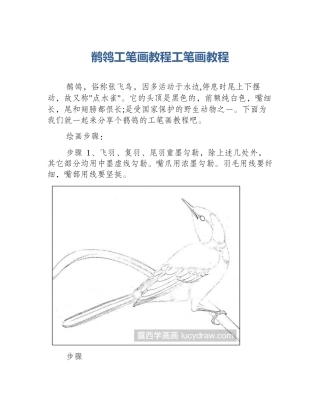 鹡鸰工笔画教程工笔画教程