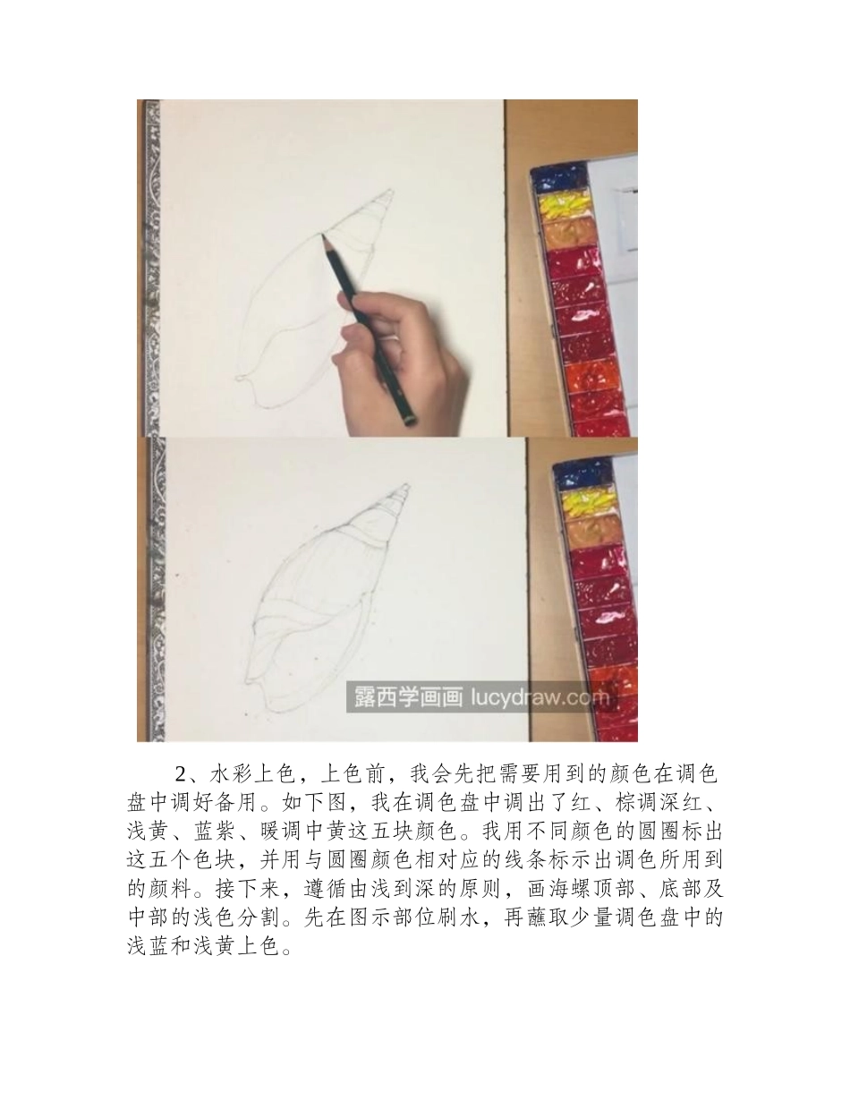 海螺怎么画_超级详细的水彩过程分享水彩画教程_第2页