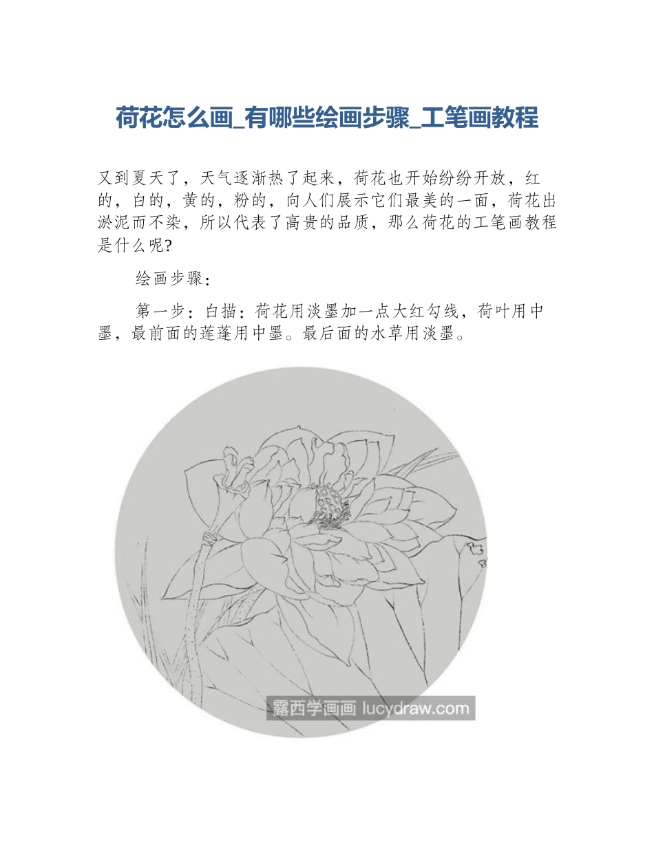 荷花怎么画_有哪些绘画步骤_工笔画教程_第1页