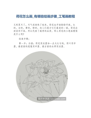 荷花怎么画_有哪些绘画步骤_工笔画教程