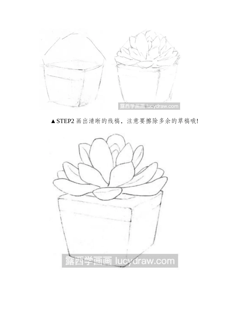 简单的水彩画多肉教程水彩画教程_第2页