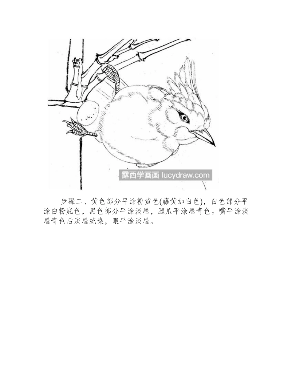黄颊山雀怎么画_如何给山雀设色_工笔画教程_第2页